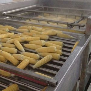 清洗、巴氏殺菌案例