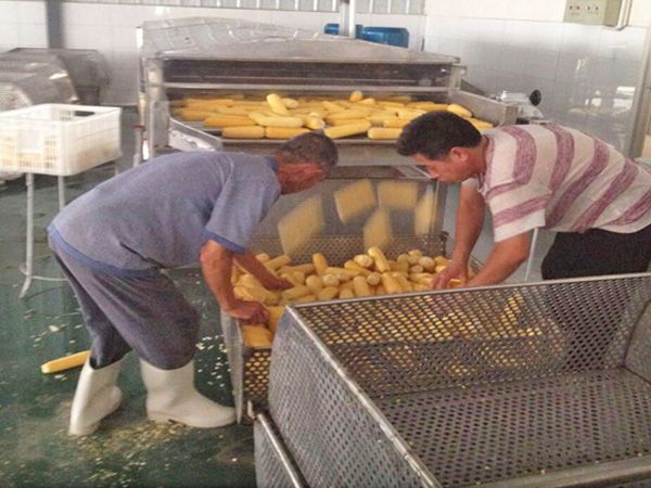 滾杠式噴淋清洗機